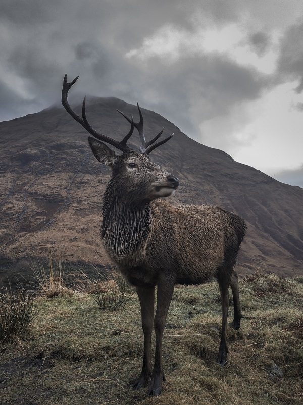 hmdglobal-nokia9pureview-camera-shot2-jpg-289751-original.jpg hmdglobal-nokia9pureview-camera-shot2-jpg-289751-original.jpg