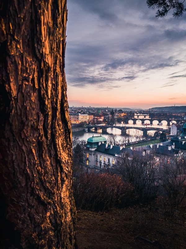 hmdglobal-nokia9pureview-camera-shot9-jpeg-289738-original.jpg hmdglobal-nokia9pureview-camera-shot9-jpeg-289738-original.jpg