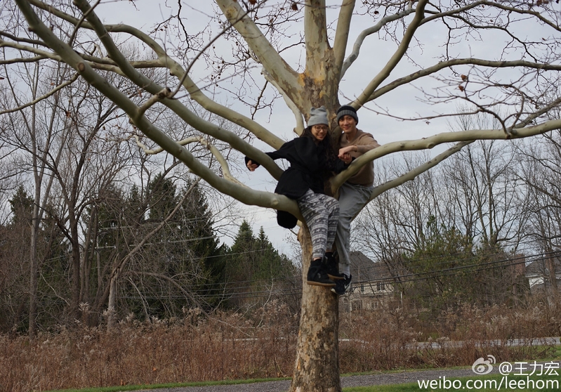 leehom02.jpg leehom02.jpg