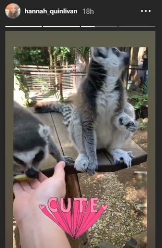 jay_01.jpg jay_01.jpg