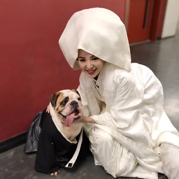 tam_02.jpg tam_02.jpg