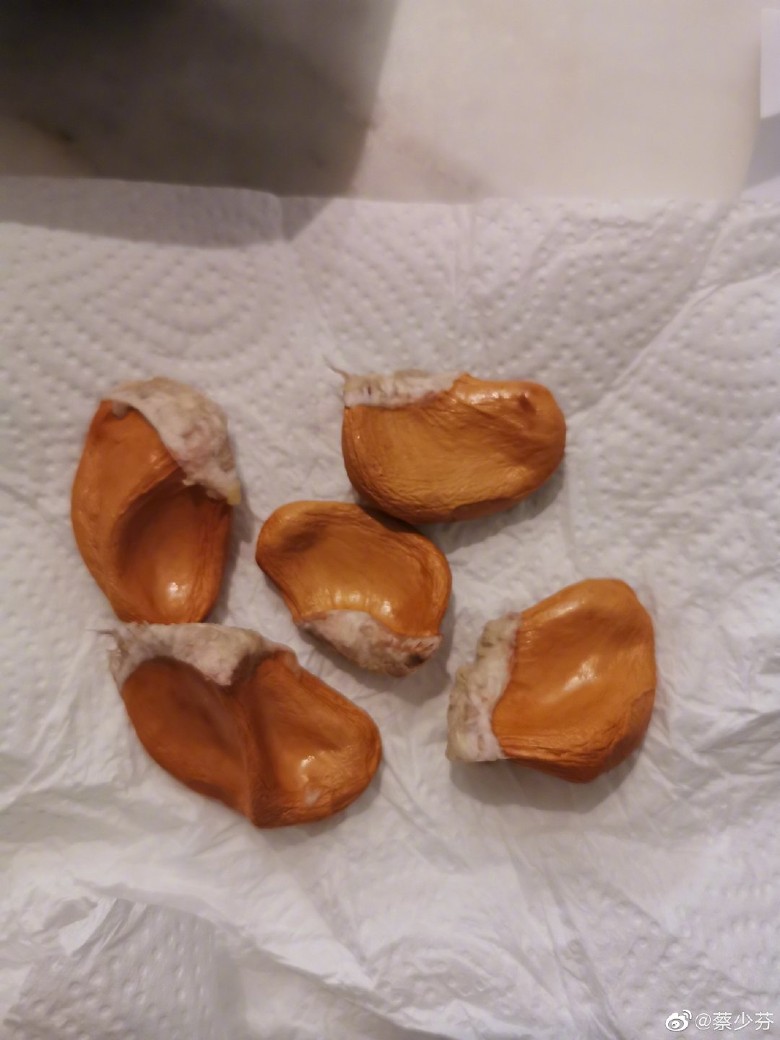 Durian02.jpg Durian02.jpg