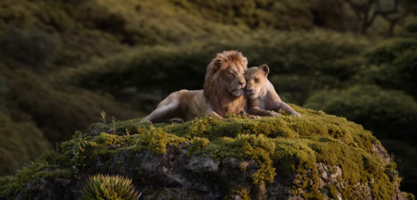 lionking_08-(1).png