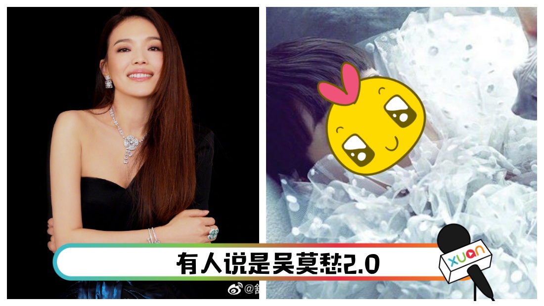 shuqi.jpg
