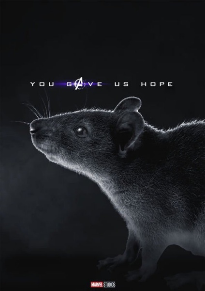 avengers_05.jpg avengers_05.jpg