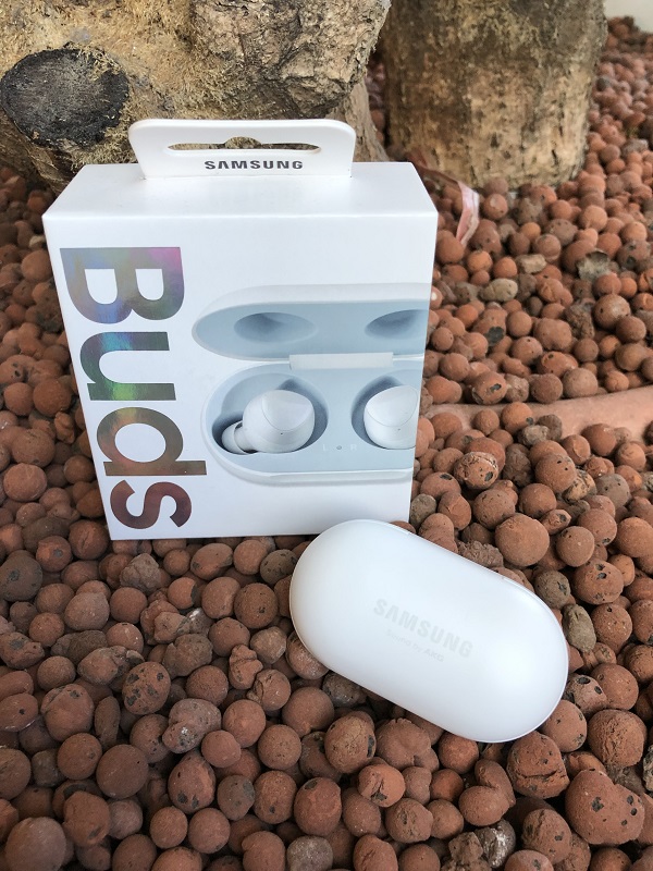 IMG_2896.jpg IMG_2896.jpg