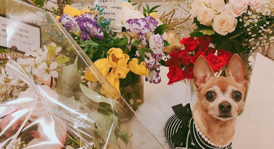 Screenshot-2019-05-05-at-4-44-18-PM.png Screenshot-2019-05-05-at-4-44-18-PM.png