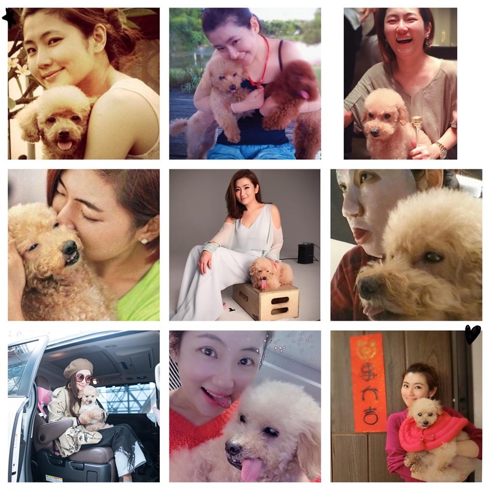 Selina03.jpg Selina03.jpg