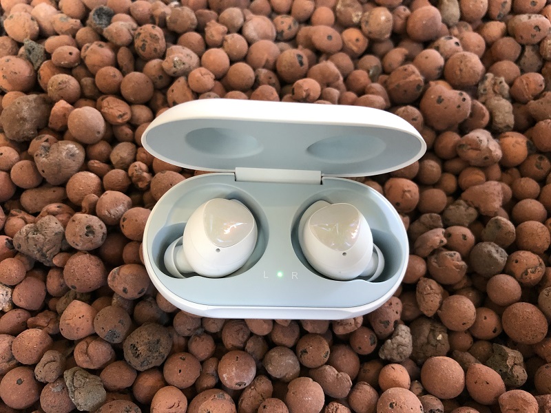 IMG_2899.jpg IMG_2899.jpg