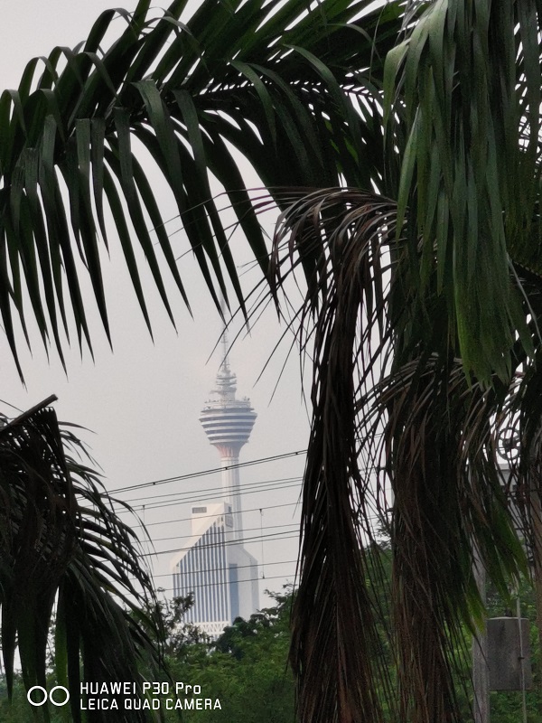 IMG_20190421_174331_BURST007.jpg IMG_20190421_174331_BURST007.jpg