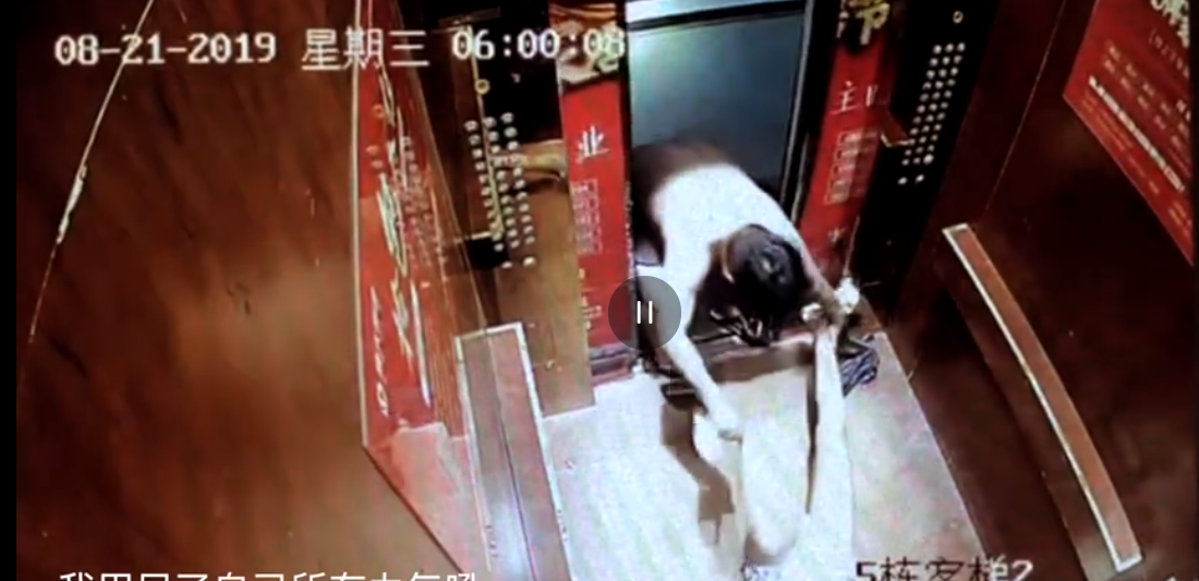 Screenshot_6.png Screenshot_6.png