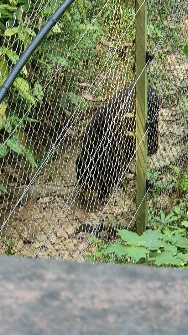 20190915_104241.jpg 20190915_104241.jpg