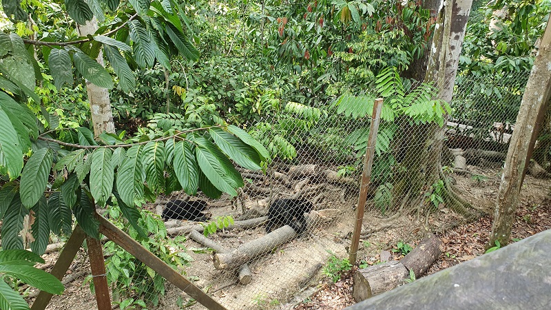 20190915_110418.jpg 20190915_110418.jpg