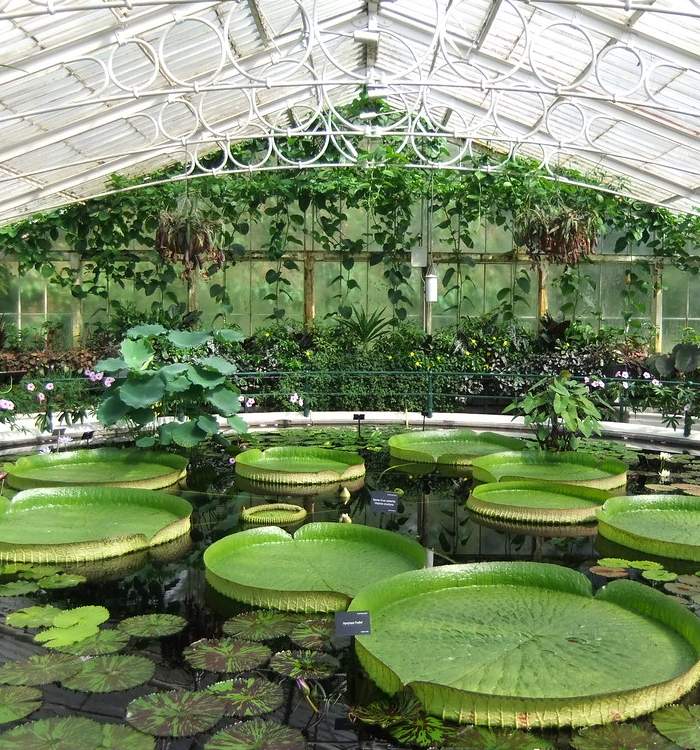 london-the-royal-botanic-gardens-kew.jpg