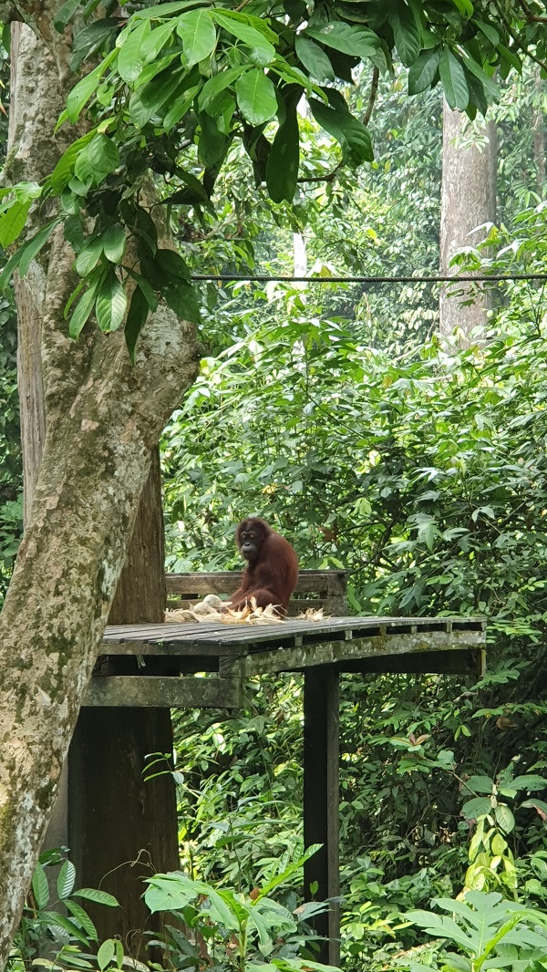 20190915_095405.jpg 20190915_095405.jpg