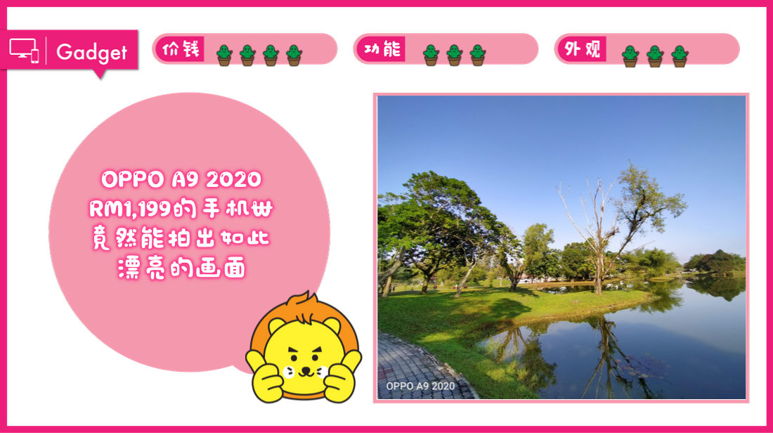 oppo-review.png