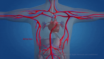 1120-iewtemz9210459.gif 1120-iewtemz9210459.gif