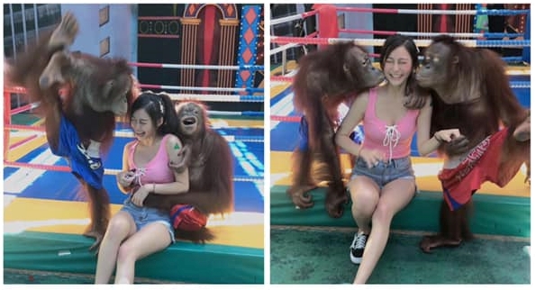 3.jpg 3.jpg