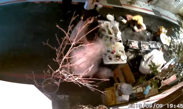 Screenshot_1.png Screenshot_1.png