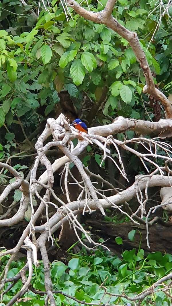20190912_174030.jpg 20190912_174030.jpg