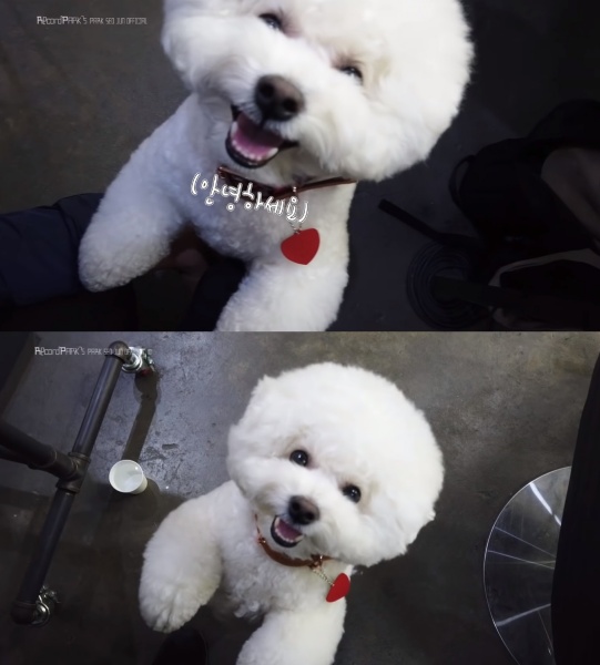 4370927.jpg 4370927.jpg