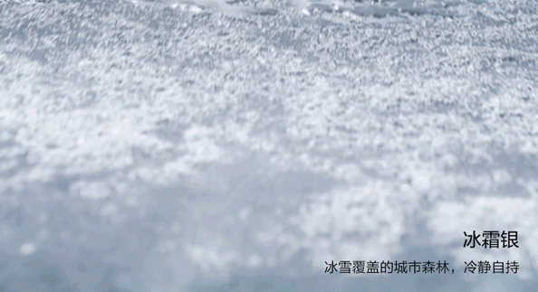 silver-frost.gif silver-frost.gif