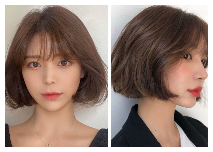 shorthair-style.jpg shorthair-style.jpg