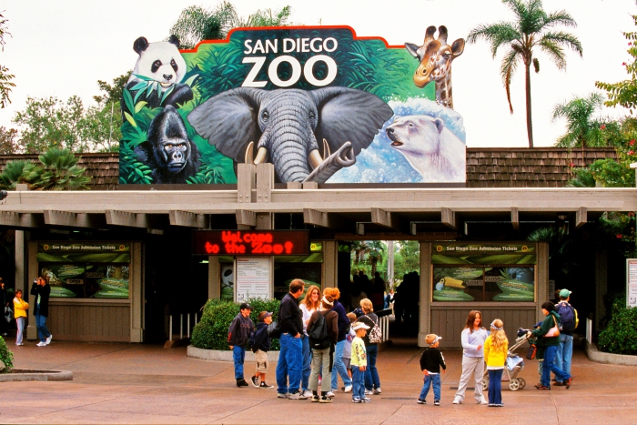 ent-and-opera-online-watching-san-diego-zoo.jpg