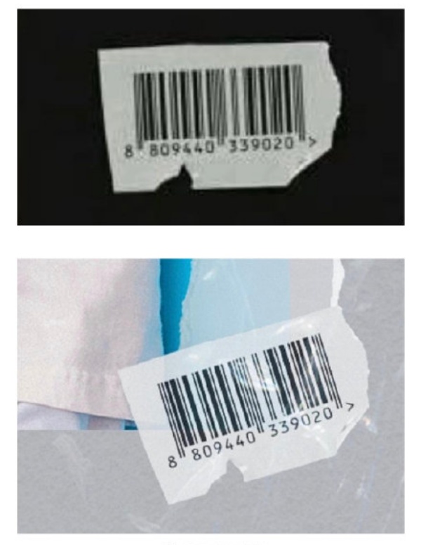 zhao_06.jpg zhao_06.jpg