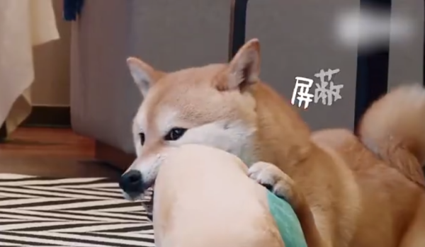 Screenshot_6.png Screenshot_6.png