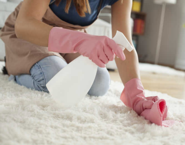 clean-house-tips.png