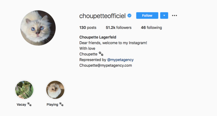 karl-lagerfeld-choupette-ig-1.png