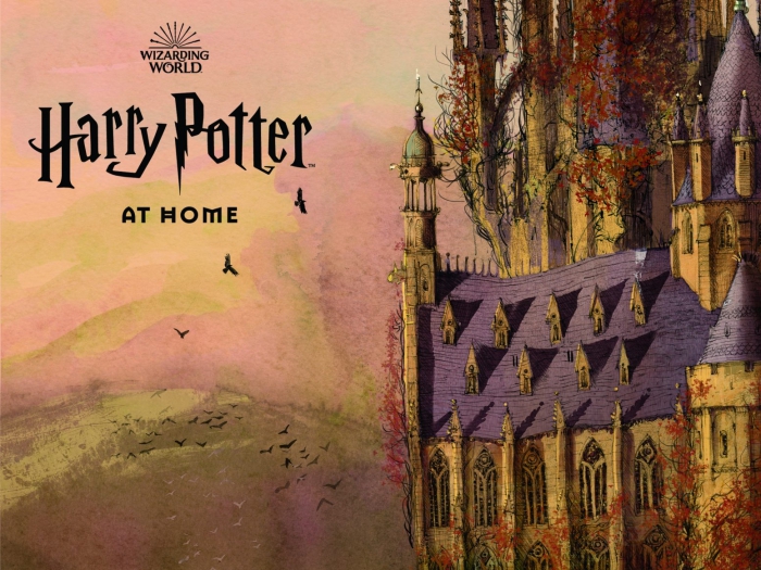 harry-potter-at-home-1.jpg