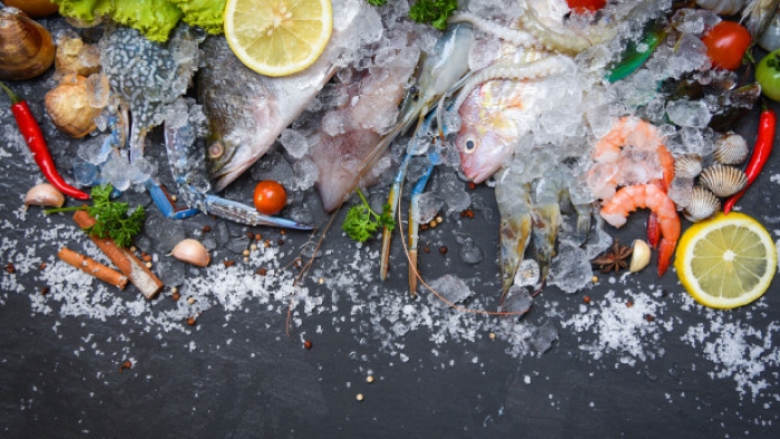 SeaFood.jpg SeaFood.jpg