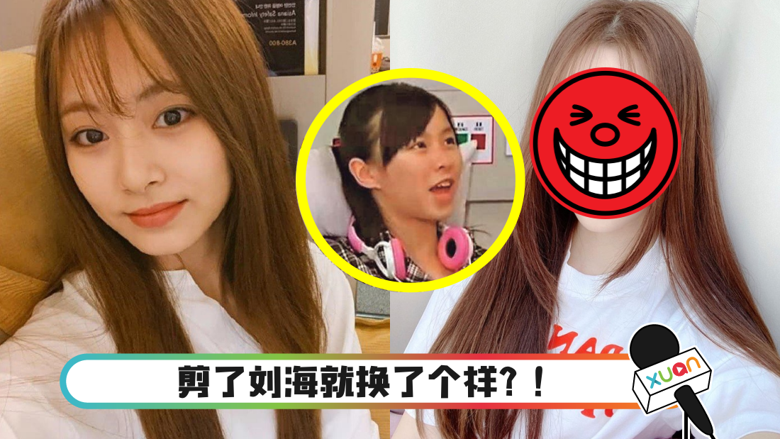 elkie_cover.png