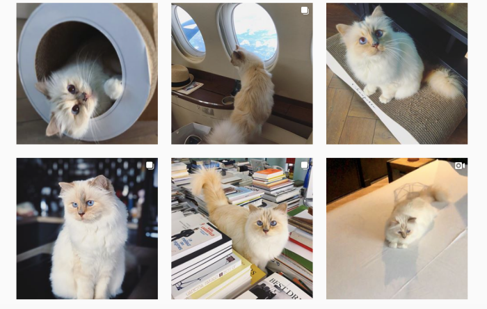 karl-lagerfeld-choupette-ig-3.png