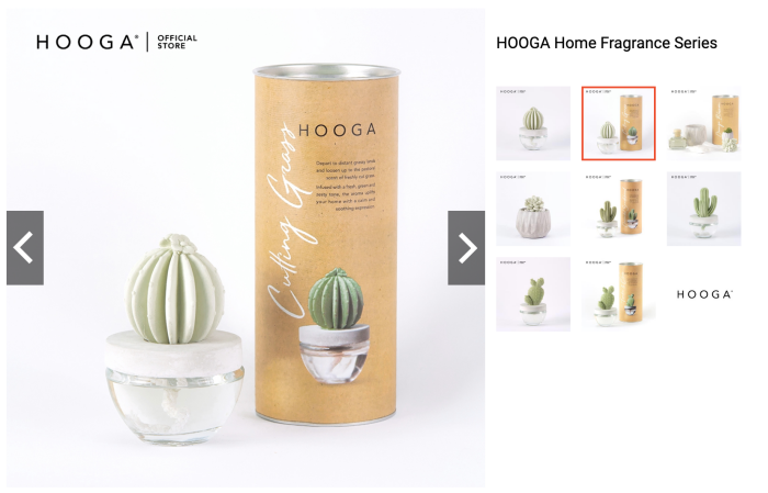 hooga-cacti.png