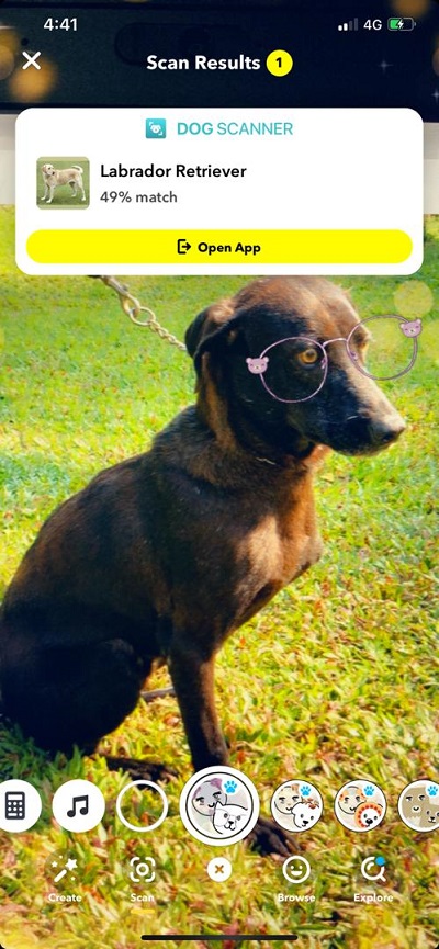 Dog-Scan.jpg Dog-Scan.jpg