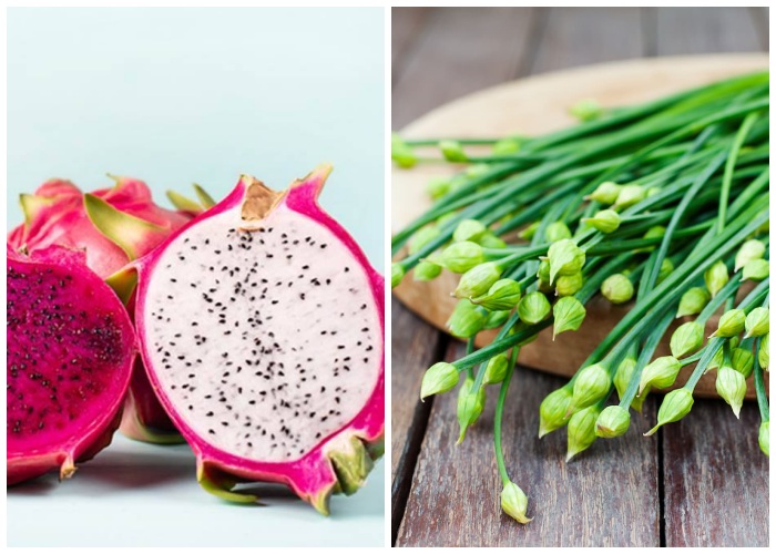 dragon-fruit-chives.jpg