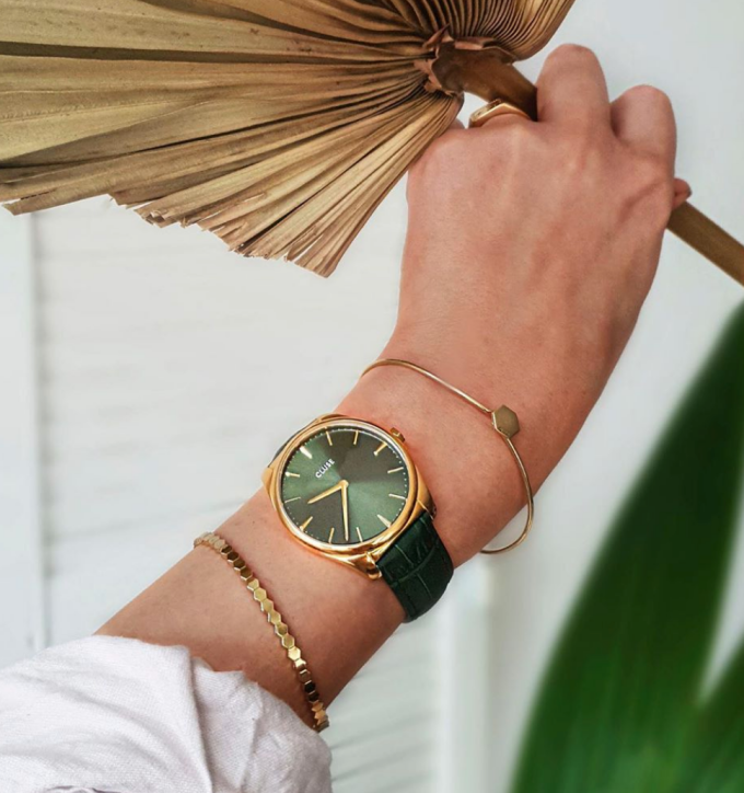 cluse-green.png cluse-green.png