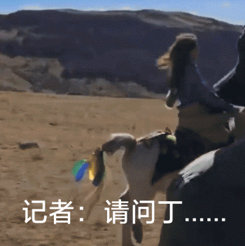 dingzhen3.gif dingzhen3.gif