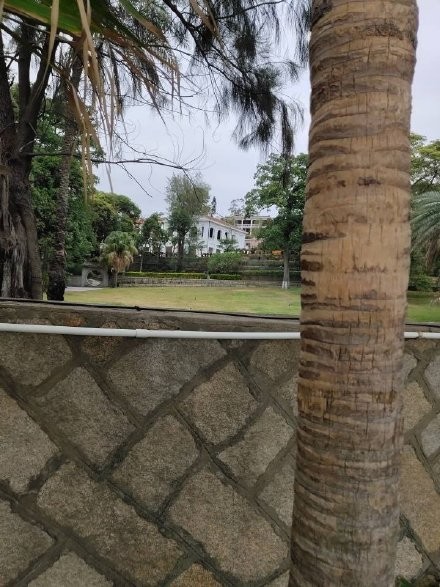 wuxuanyi2.jpg wuxuanyi2.jpg