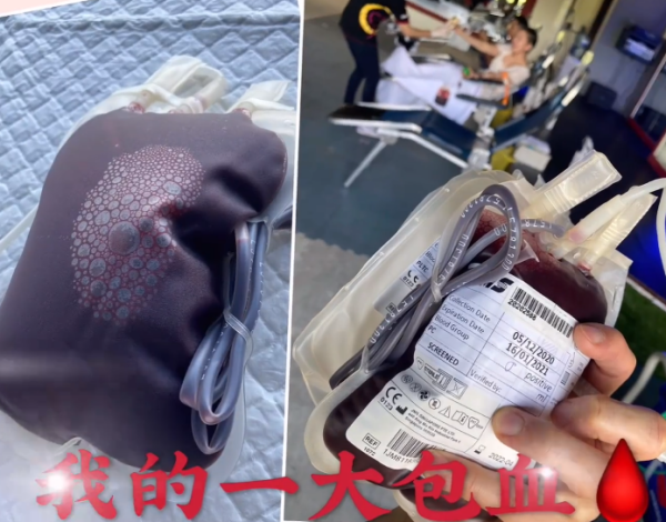 wuzun6.png wuzun6.png