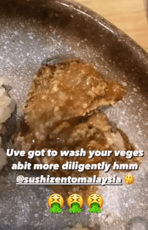 trisha4.gif trisha4.gif