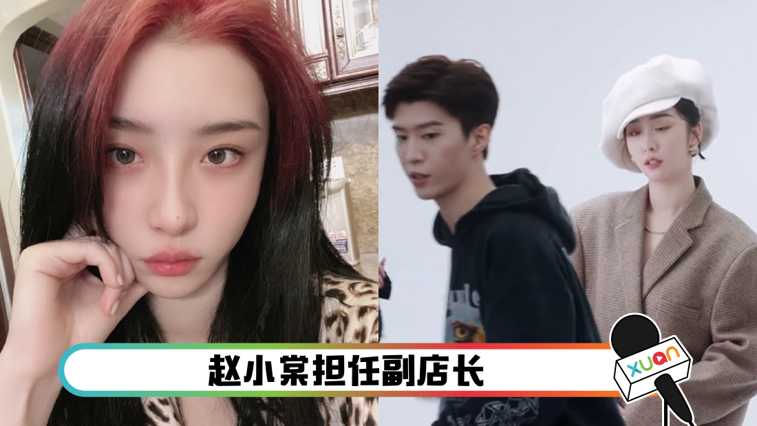 zhaoxiaotangfanchenchen_cover.png