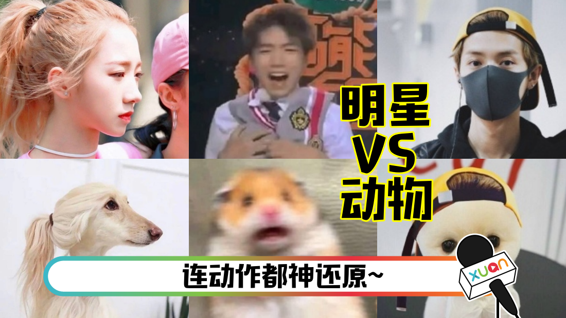 zhuanglian-main.png