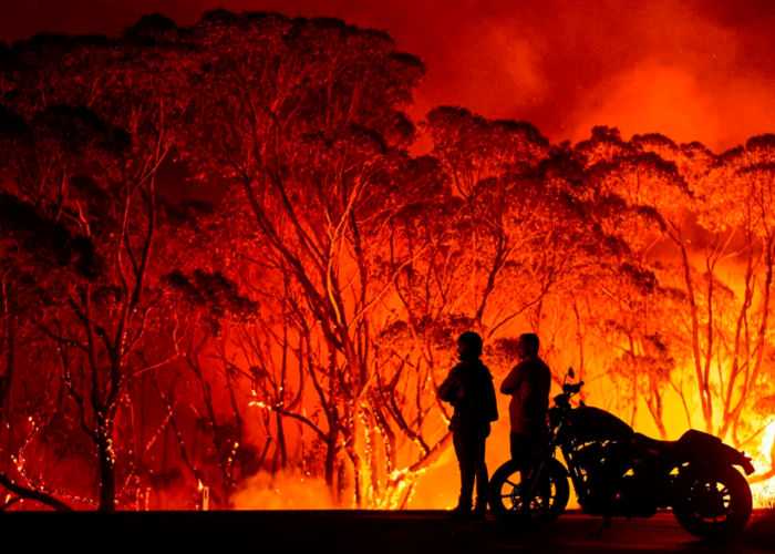 aus-bush-fire.png