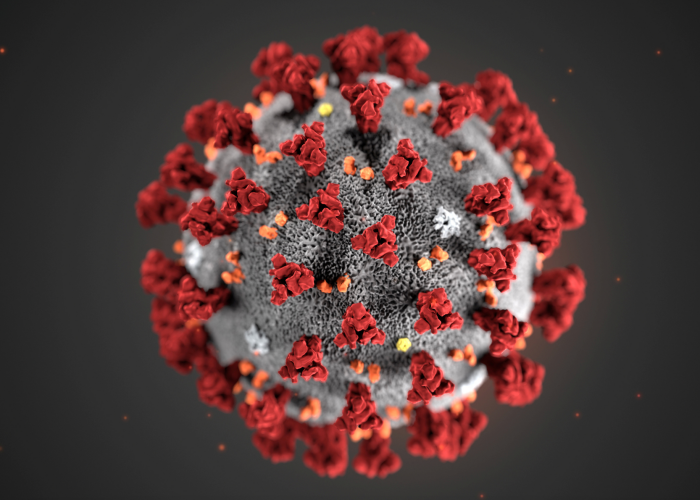 coronavirus.png