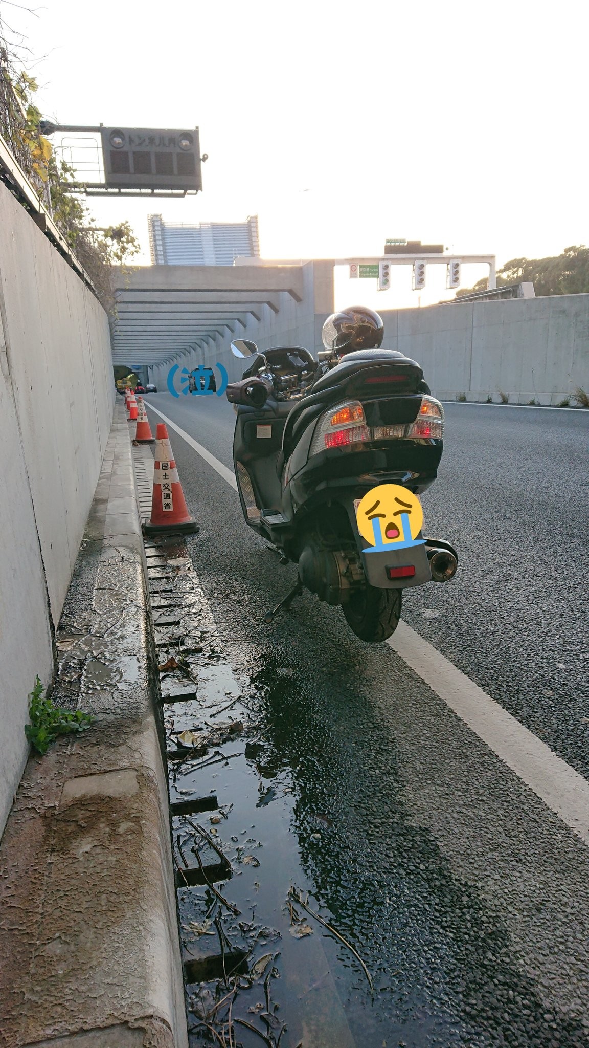 4720262.jpg 4720262.jpg