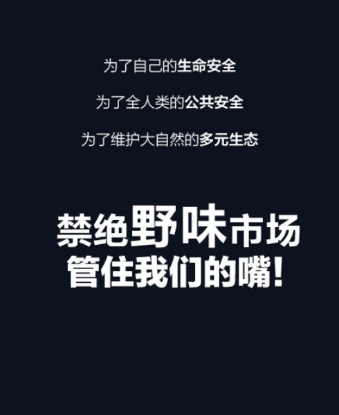 ye_02.jpg ye_02.jpg